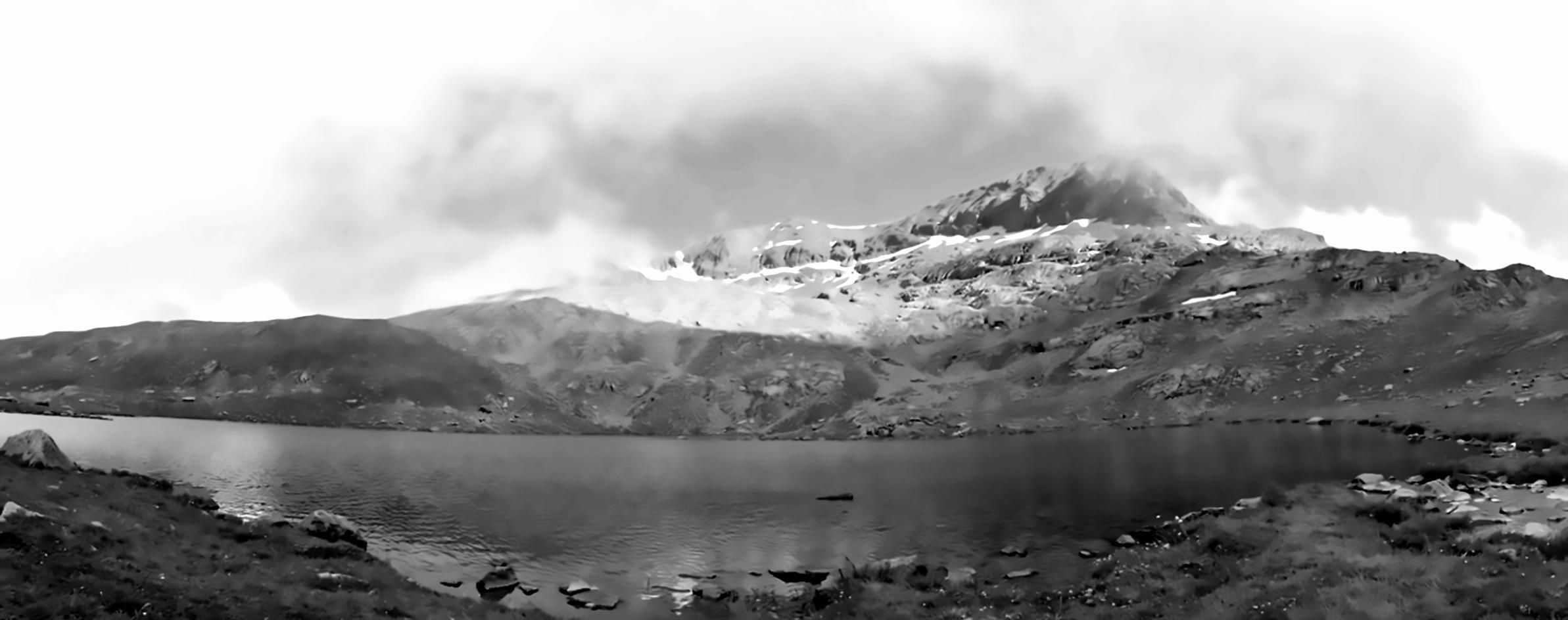 Conservation field work and habitat research documentation